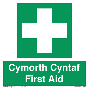 Cymorth Cyntaf First Aid in Welsh